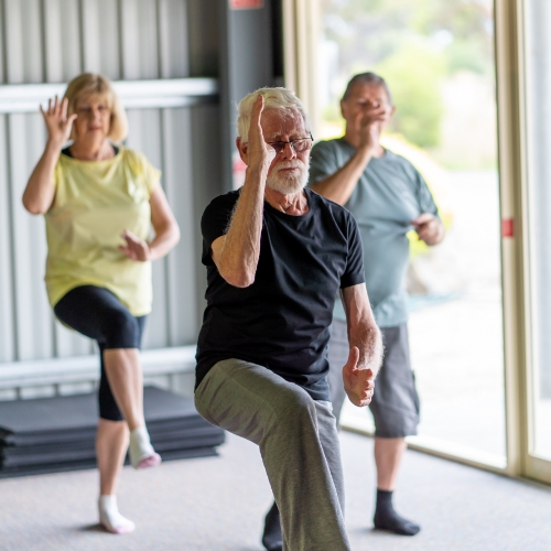 physical-therapy-clinic-balance-disorders-victory-therapy-and-wellness-swainsboro-ga